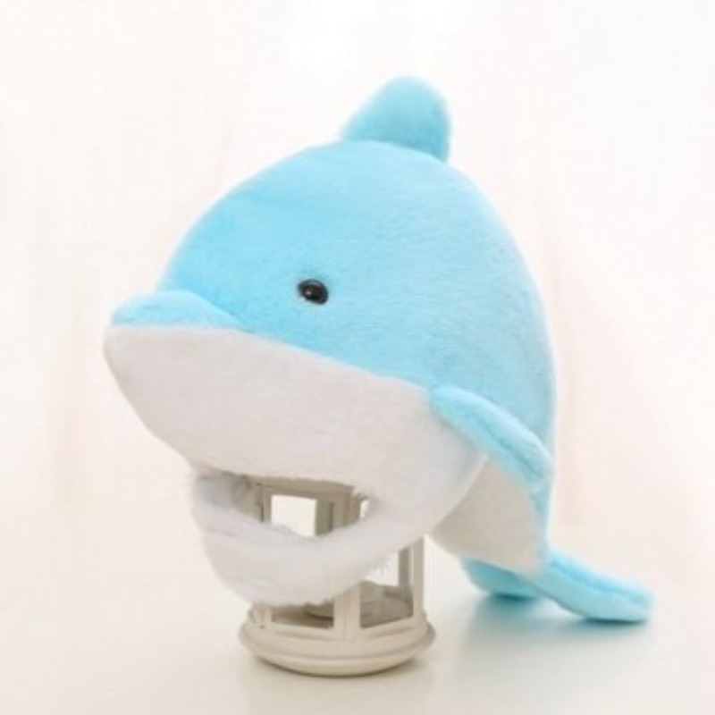 Woo Young-woo, Dolphin Hat